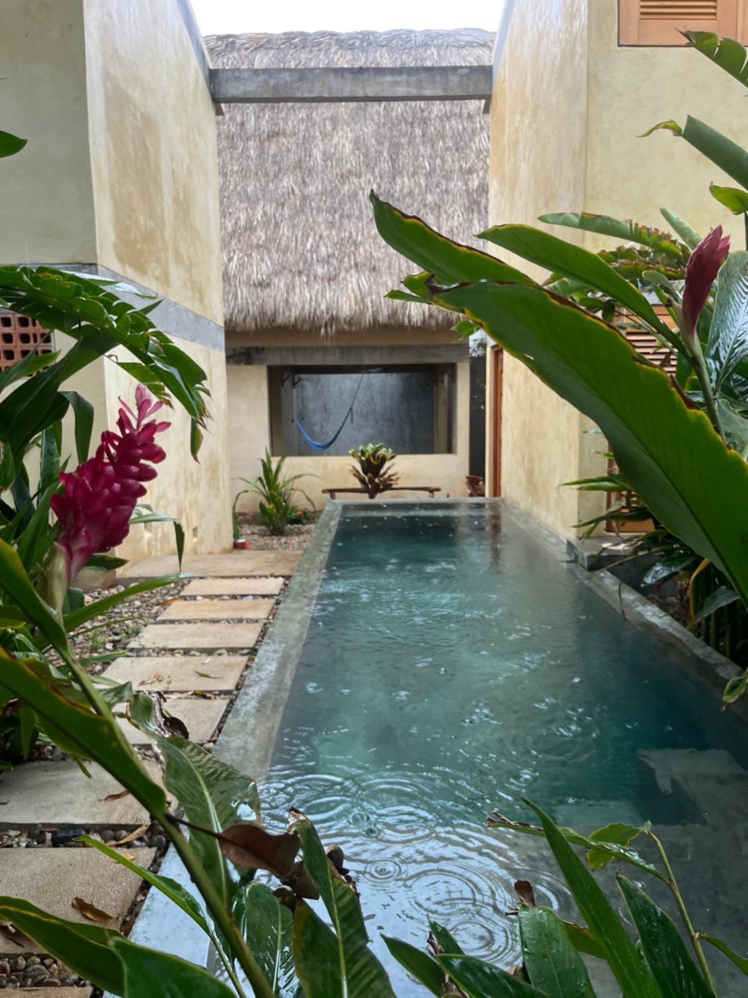 Agua De Coco Apartment Пуерто Ескондидо Екстериор снимка